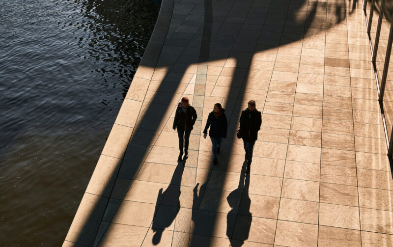 Project-Management-Services
