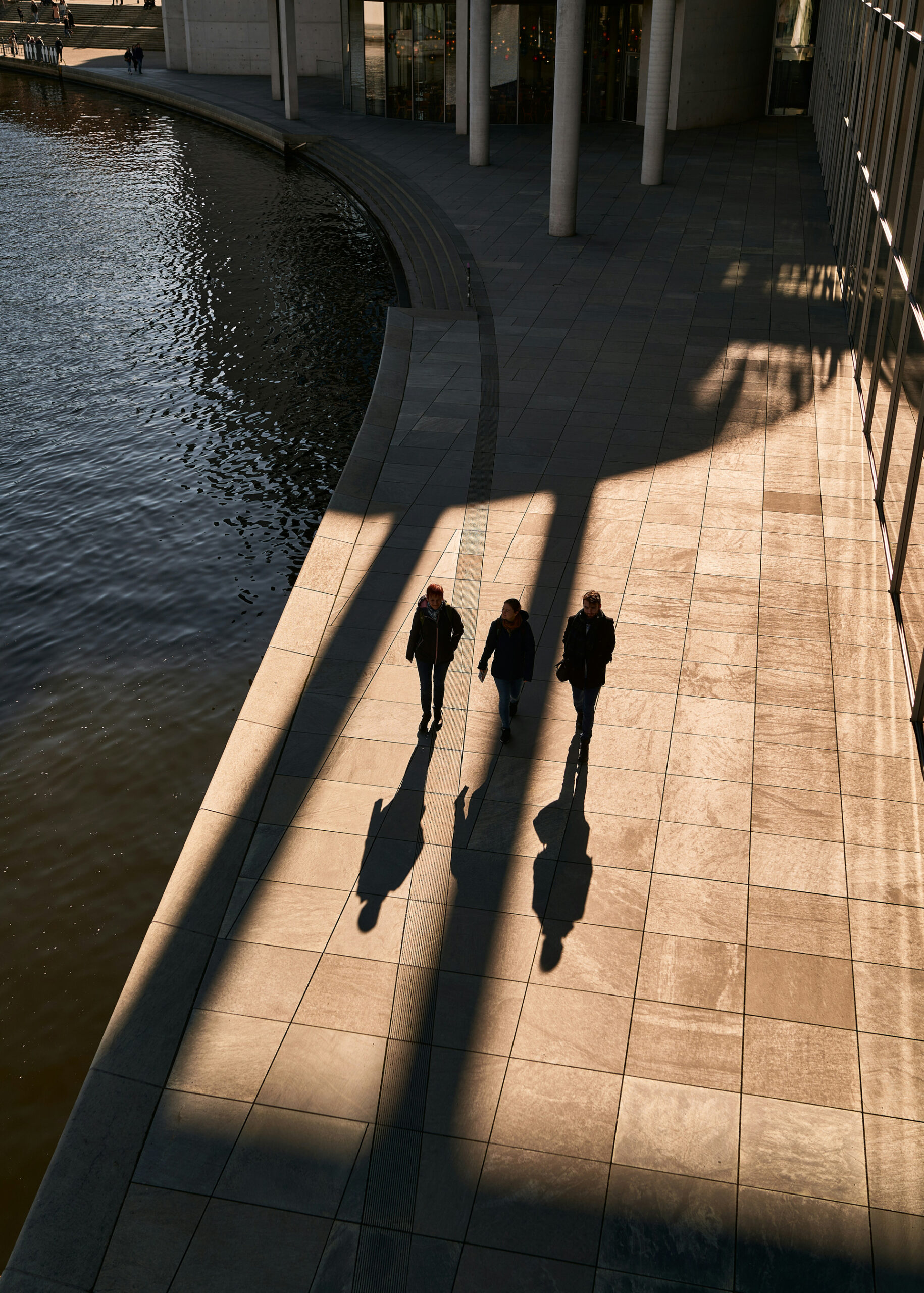 Project Management Services